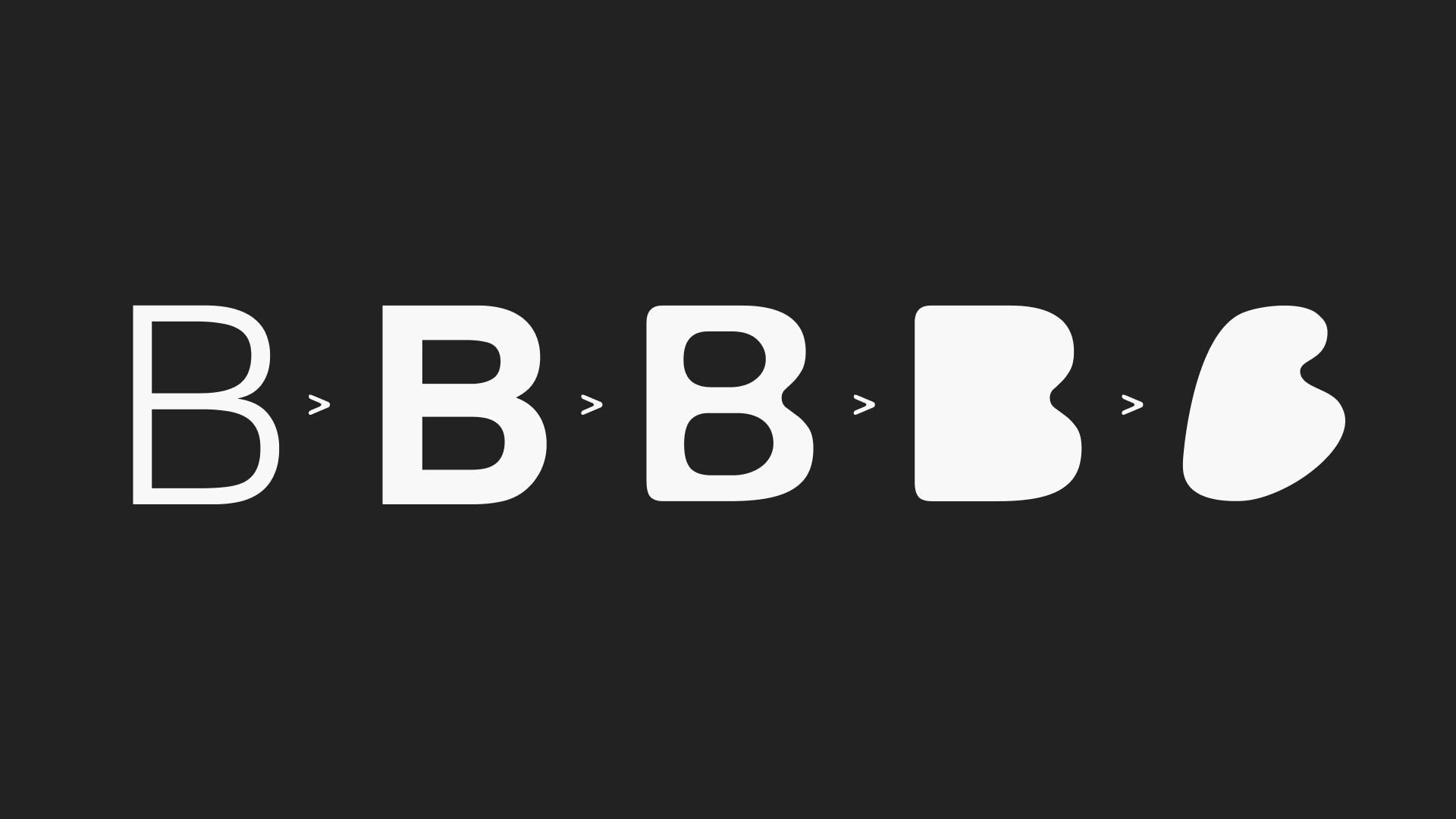 Baltic Circle identity concept — image 7