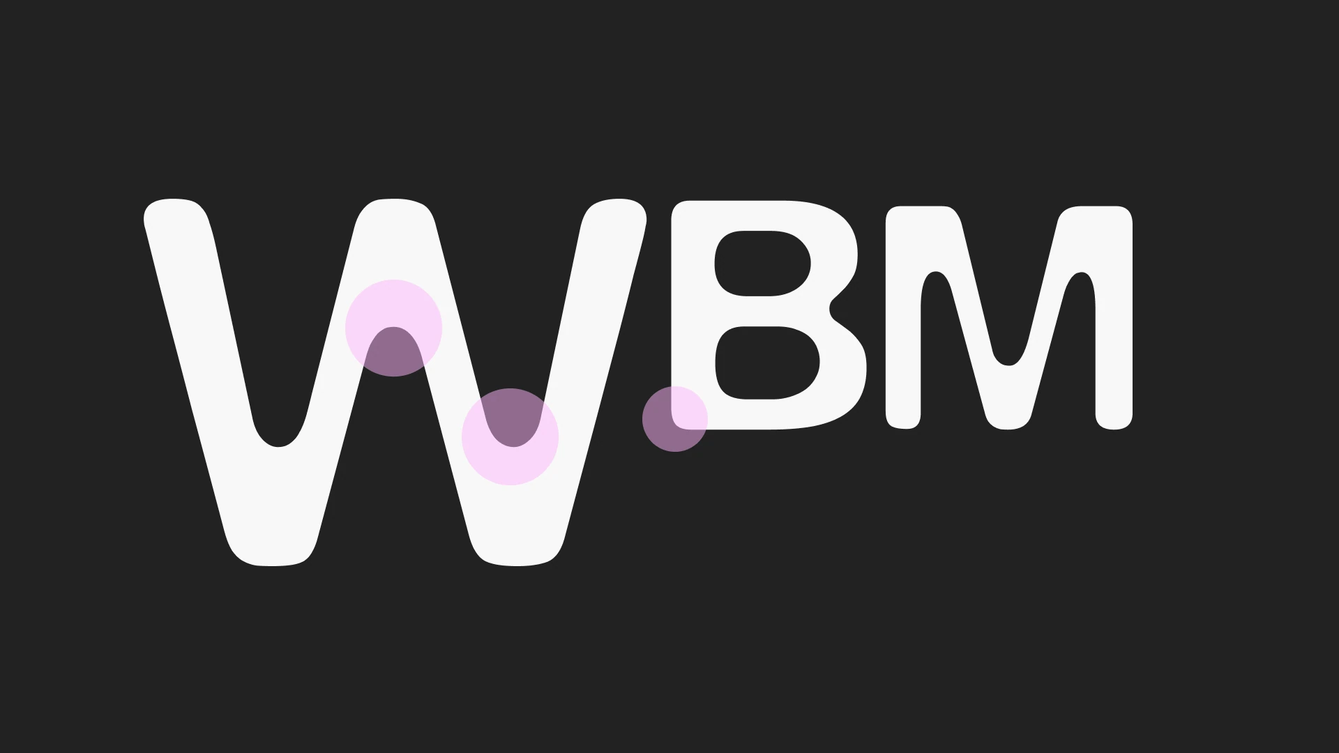 Baltic Circle identity concept — image 9