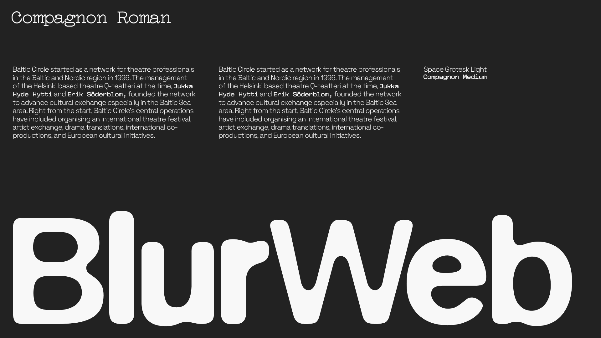 Baltic Circle identity concept — image 10