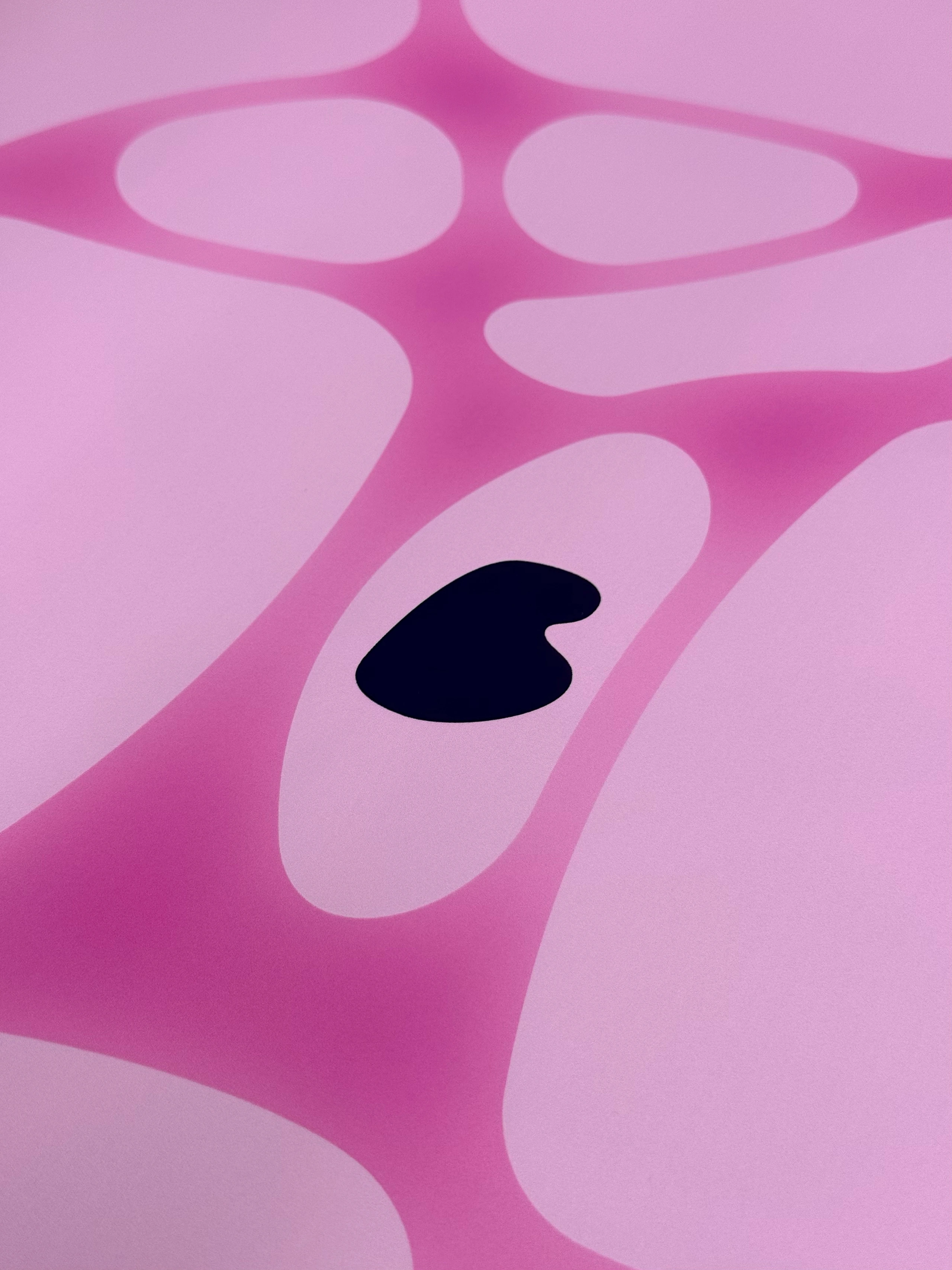 Baltic Circle identity concept — image 49